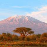 How Tanzanian Peaberry Coffee Changed One Small Village