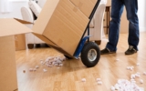 Moving Services Before Veterans Day: Get Ready for a Smooth Relocation with One Deal Moving