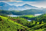 Best Romantic Things To Do In Kerala