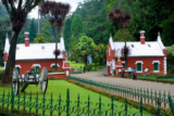 Explore the Best Mysore Ooty Coorg Tour Package 2024: A Complete Travel Guide