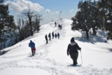Nag Tibba Trekking: The Perfect Himalayan Getaway
