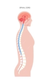 Expert Spine Surgeons in Tirunelveli: Your Path to Recovery