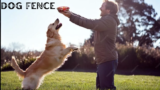 The Ultimate Guide to Dog Fences: Ensuring Safety, Security, and Freedom for Your Pet