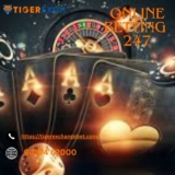 Unlocking the Full Potential of Online Betting with Tiger Exchange 247