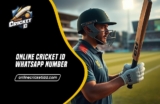 Online Cricket ID Whatsapp Number – Trusted Whatsapp Service  