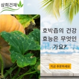 호박즙의 건강 효능은 무엇인가요?
