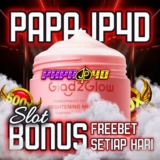 Artikel Penelitian: Analisis Kualitas dan Preferensi Konsumen terhadap Produk Kecantikan dan Aksesoris dari PAPAJP4D