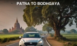 Places to Visit in Bodhgaya
