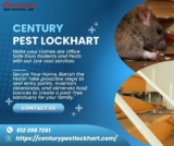How Pest Control Lockhart Texas Experts Tackle Infestations