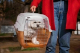 How to Choose the Best Dog Carrier?