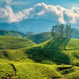 Pothamedu View Point: A Scenic Marvel in Munnar, Kerala