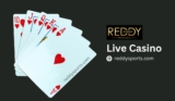 Reddy Anna Login: Your Gateway to Seamless Online Gaming