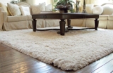 Understanding Carpet Padding: Essential Insights for a Comfortable Home