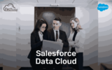 Salesforce Data Cloud