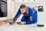 How to Prevent Pests in Your Garage: Simple Tips for Homeowners