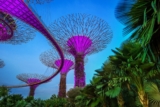 Common Challenges Faced During Singapore PR Applications
