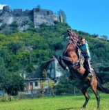 Discover Horse Riding in Montenegro: A Scenic Adventure