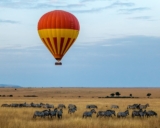 Cultural Crossroads: A Bangladeshi’s Odyssey Through Africa’s Treasures