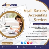 Why Hire a Small Business Accountant in Houston for Virtual Bookkeeping Services?