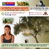 Sexual Pain Disorder Therapy: Top Rated Sexologist in Patna, Bihar | Dr. Sunil Dubey