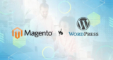Magento or WordPress: The Best Choice for 2025 Growth?