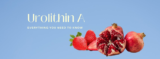 Everything you need to know about urolithin A