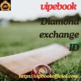 Vipebook: Your Go-to Destination for Diamond Exch