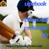 Unlock the Thrill of Betting with vipebook