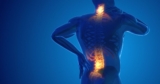 What is Disc Herniation? Should I train or not?