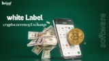Why Do Startups Choose White Label Crypto Exchange Software for Rapidly Launching Trading Platforms?