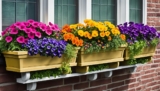Top Window Box Ideas: Stunning Flowers and Plants for Every Season