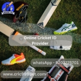 Everything You Need to Know About Online Cricket Betting in India
