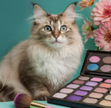 Why Mineral Makeup is the Go-To Choice for Natural Beauty Enthusiasts?