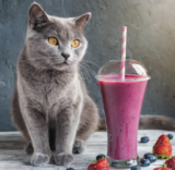 Unlock the Power of Superfoods: Discover the Health Benefits of Acai, Maqui, and Turmeric